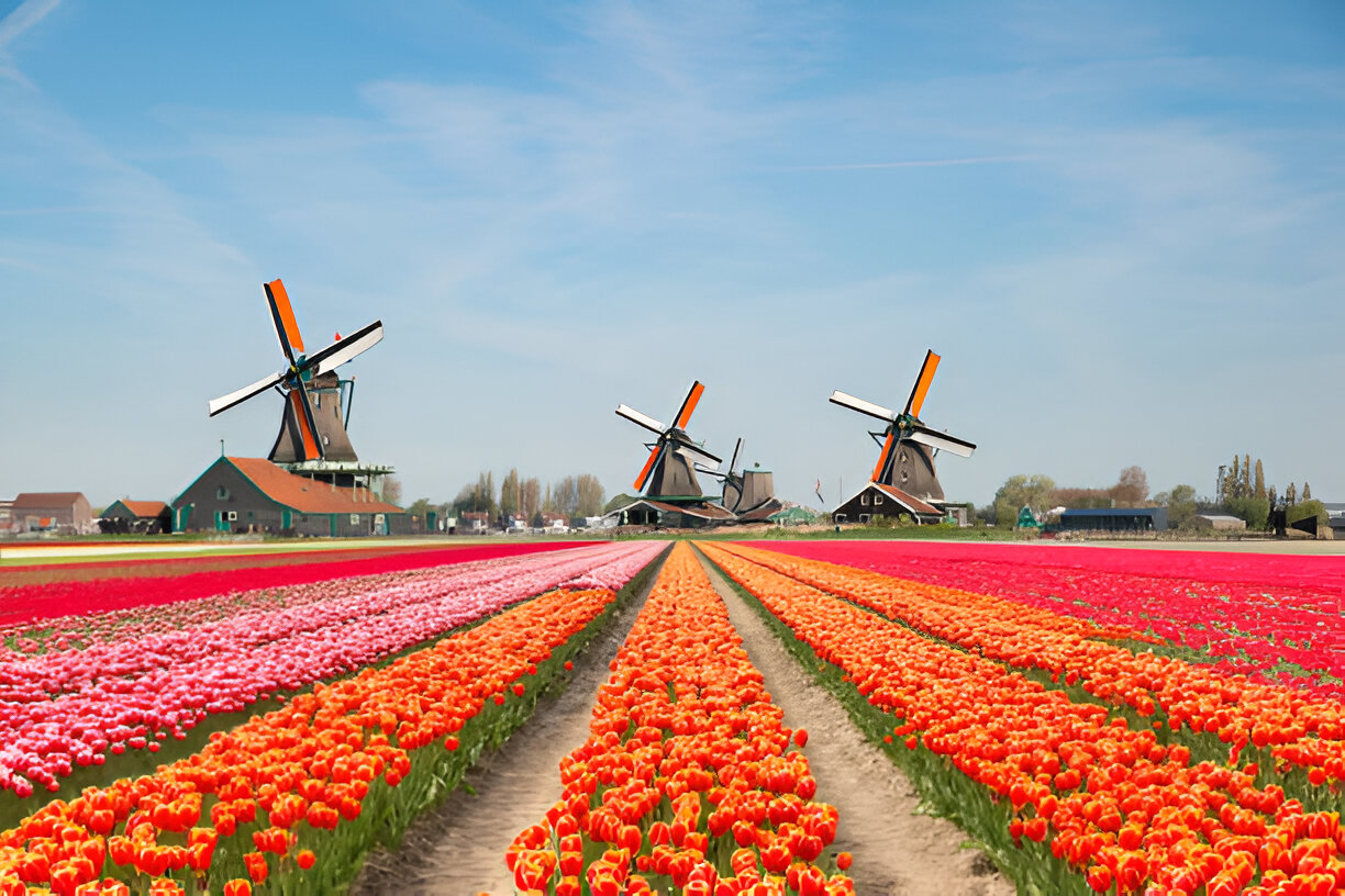 8 recommended tourist attractions in the Netherlands in 2025