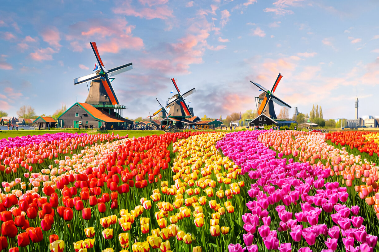 ultimate guide to netherlands travel-PhoneSIMGo