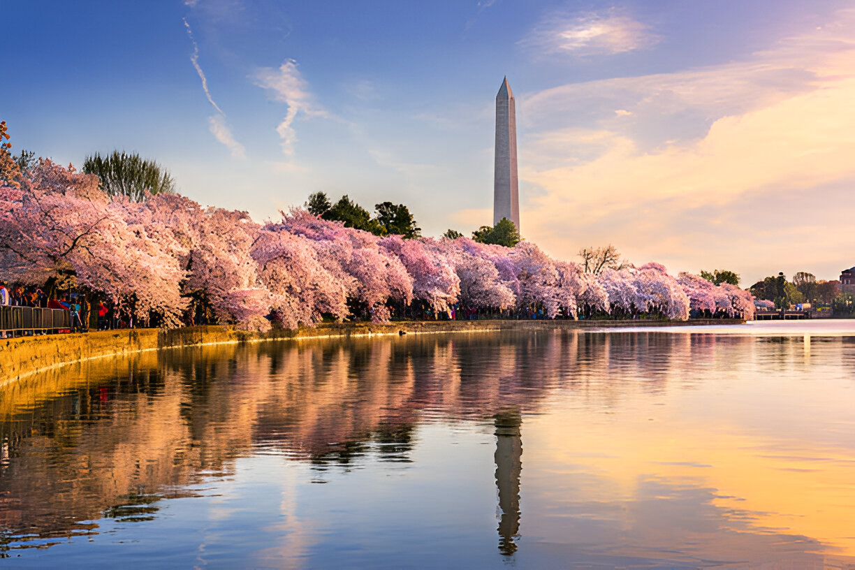 The 8 best places to travel to the United States in 2025