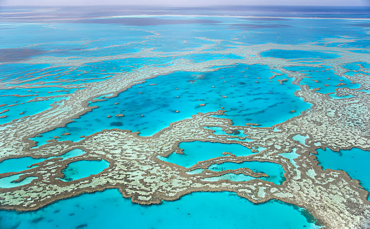 The Great Barrier Reef Travel Guide 2025