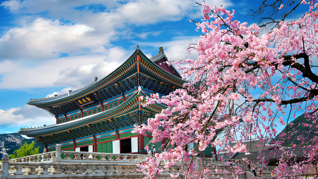 ultimate guide to south-korea travel-PhoneSIMGo