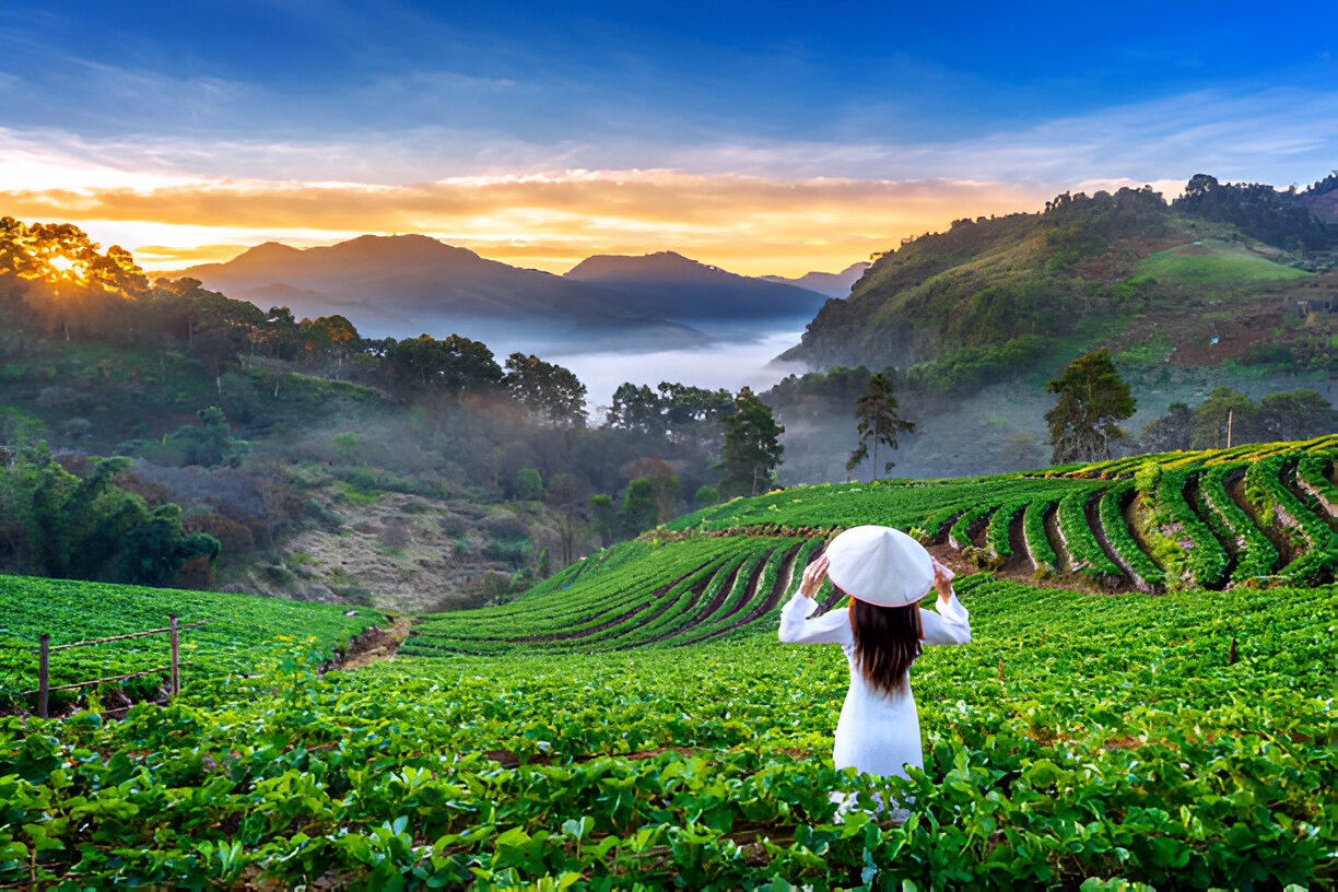 The most comprehensive guide to Vietnam travel in 2025