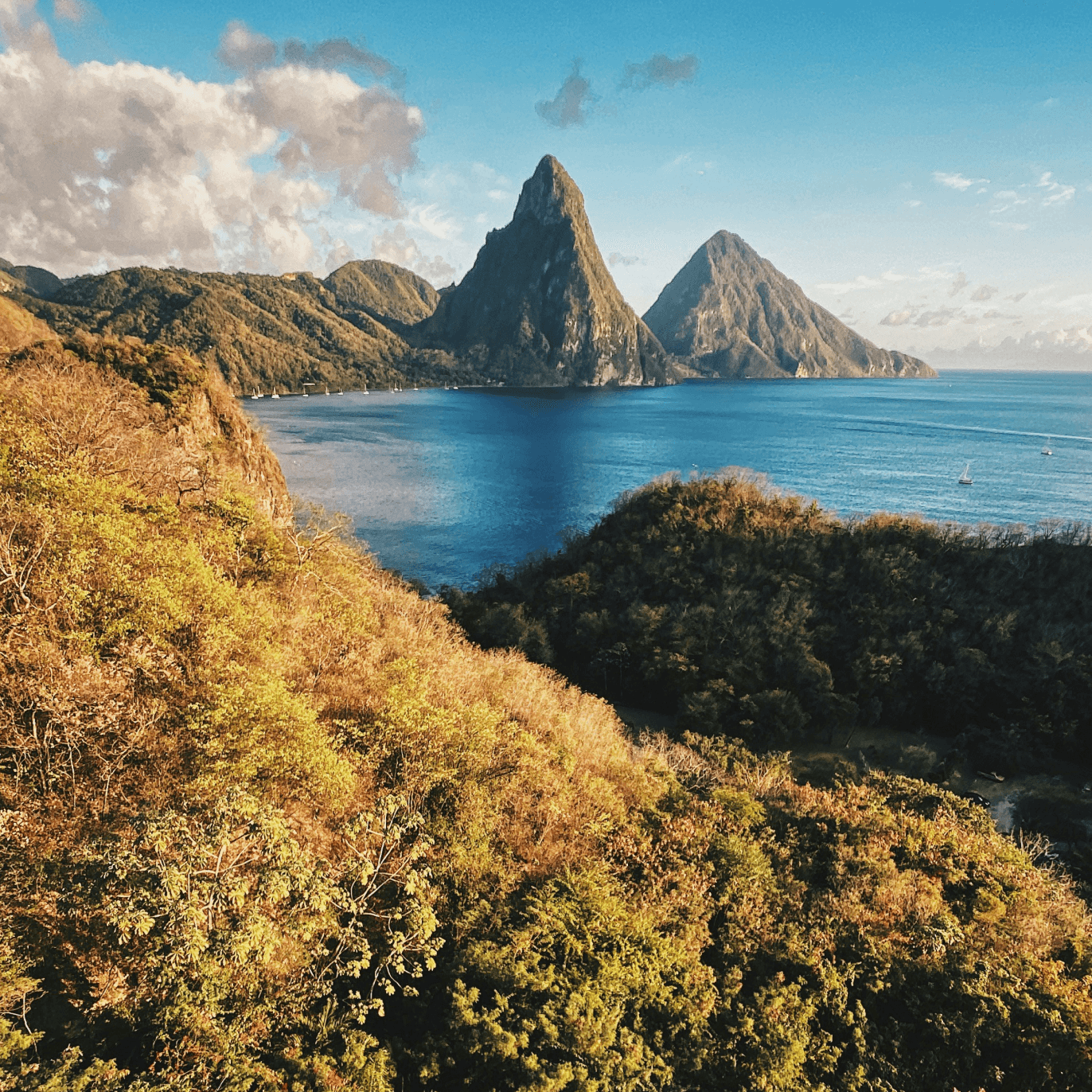 Saint Lucia Flag Pictures