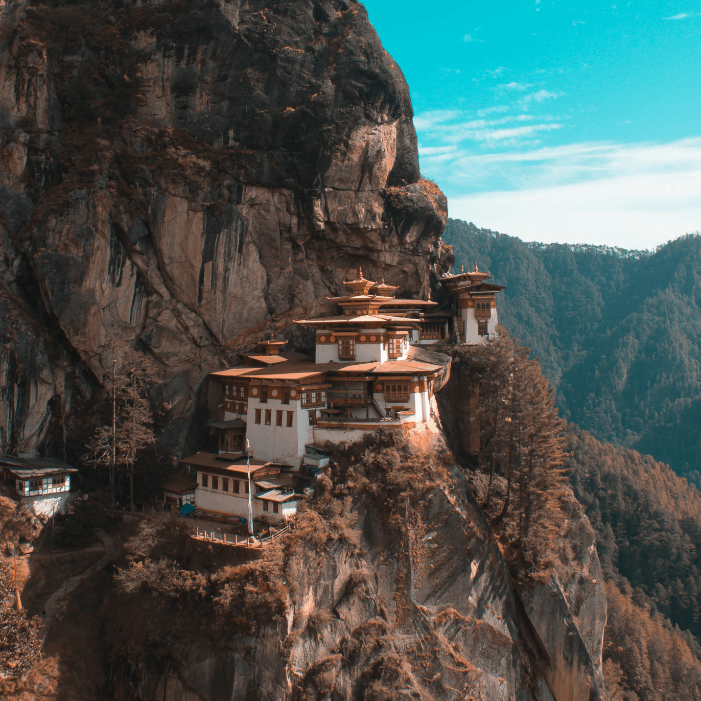 Bhutan Flag Pictures