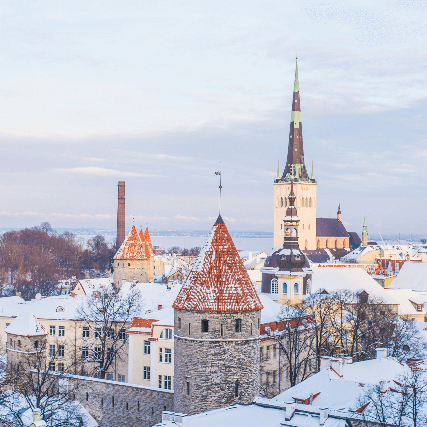 Estonia Flag Pictures