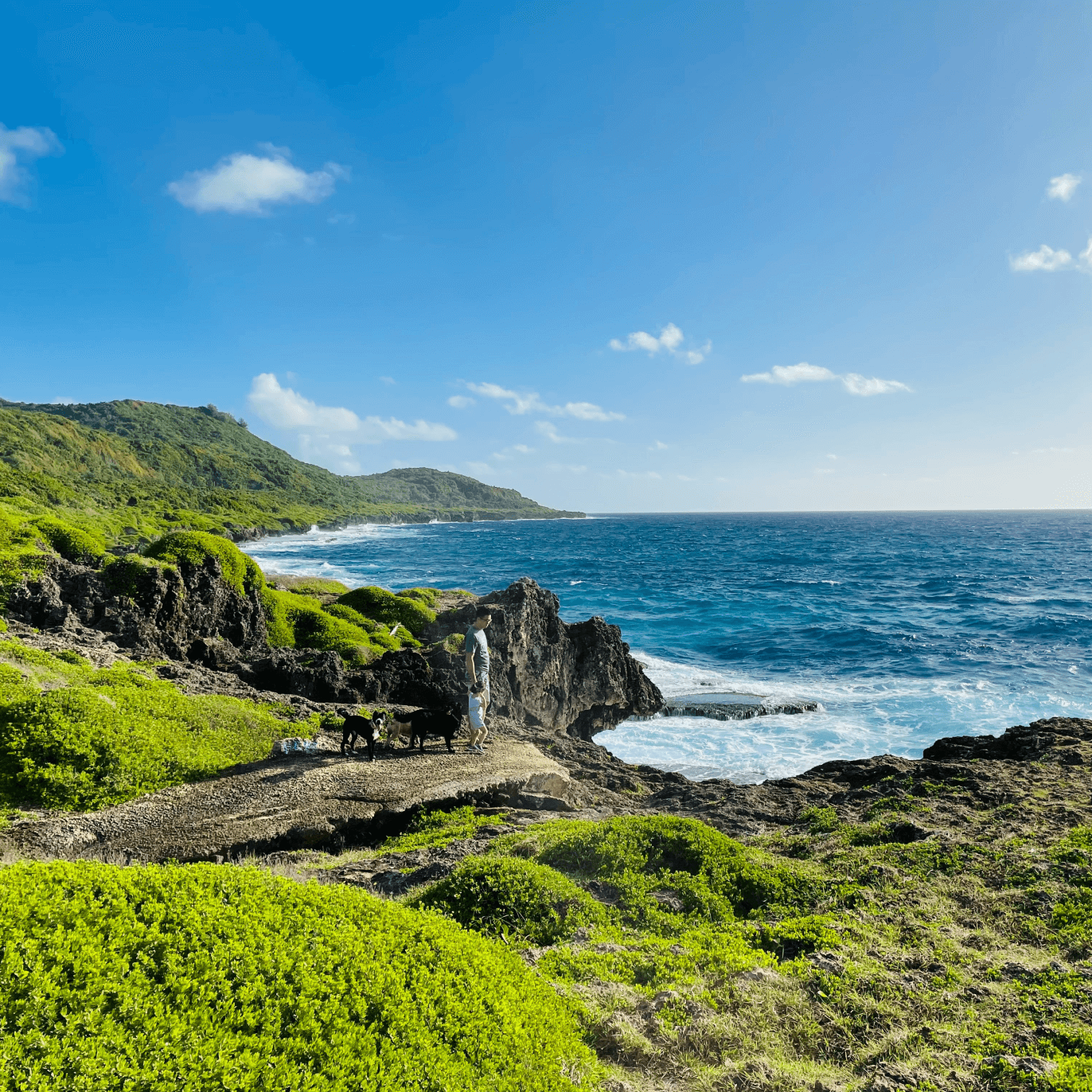 Guam Flag Pictures