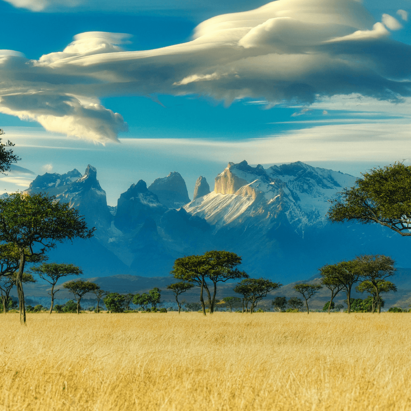 Kenya Flag Pictures