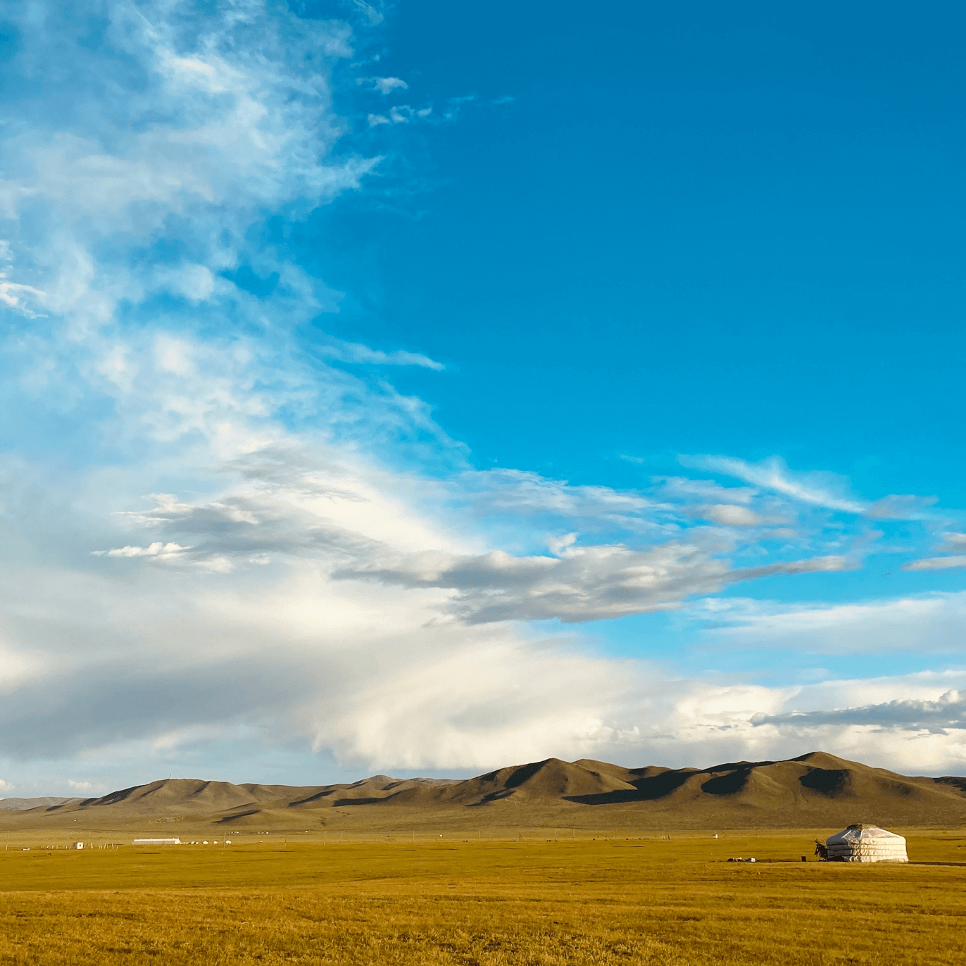 Mongolia Flag Pictures