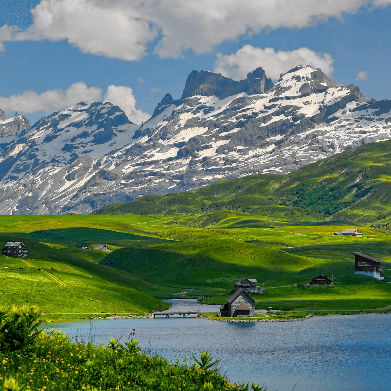 Switzerland Flag Pictures