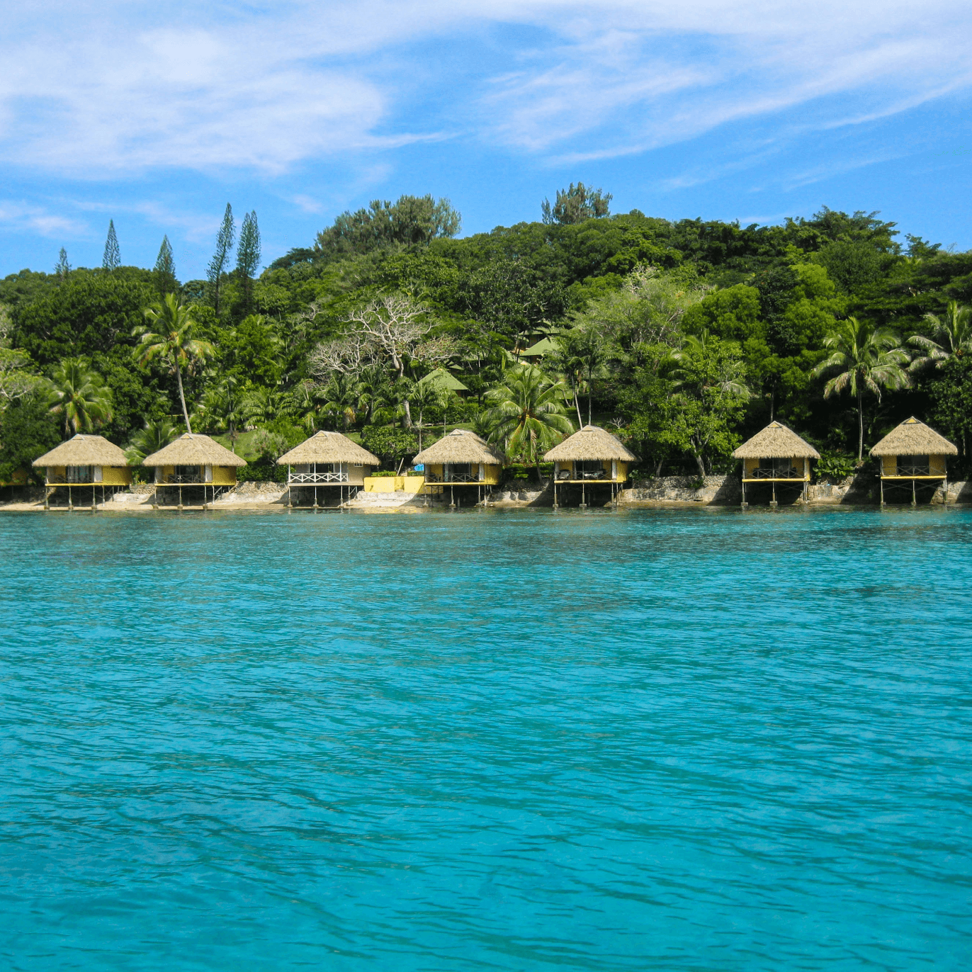 Vanuatu Flag Pictures