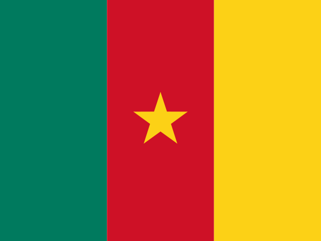 Cameroon flag